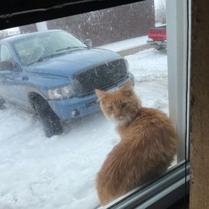 Meet your Posher, Matt